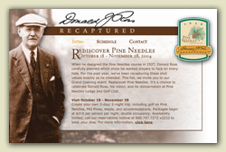 Pine Needles